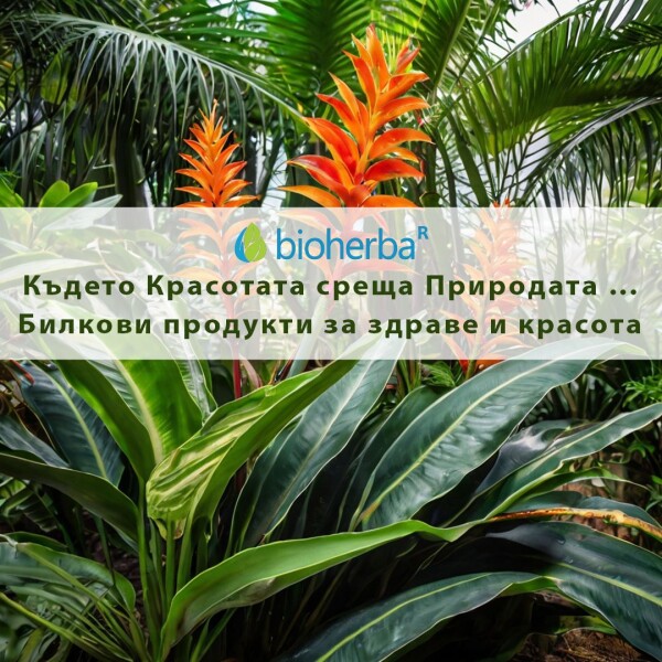 ПЕНООБРАЗУВАЩИ СОЛИ ЗА ВАНА - СЛАДКА ДЪВКА